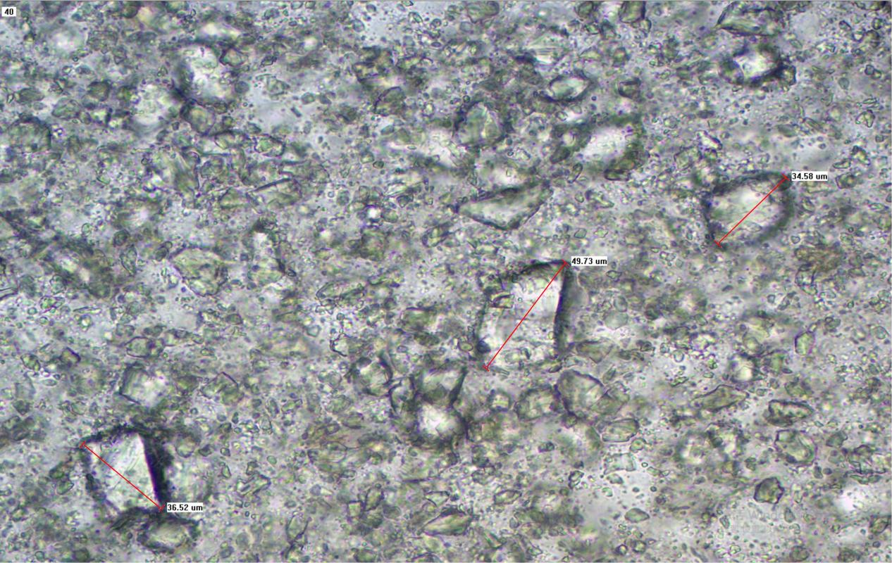 微信图片_20251226150647_117_135_01