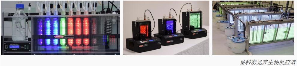 先进藻类培养与在线监测系统落地水生所