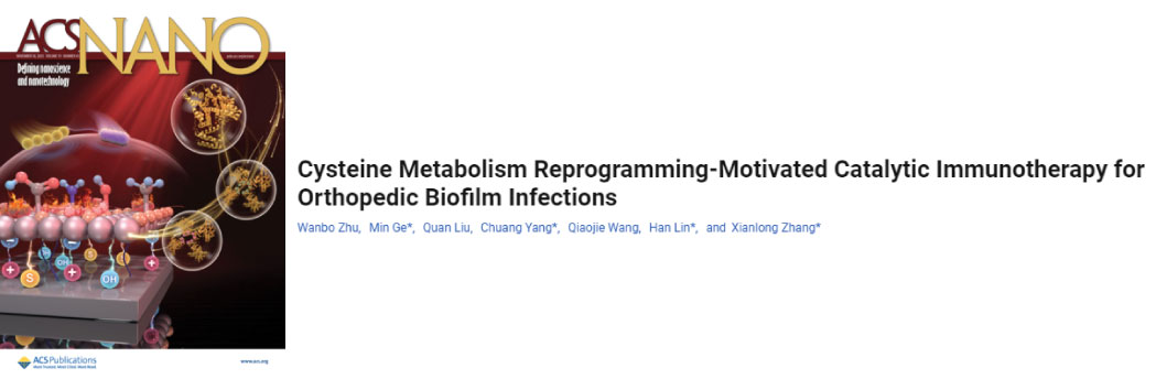 【2025年11月文献战报】Bioss 抗体新增高分文献精彩呈现