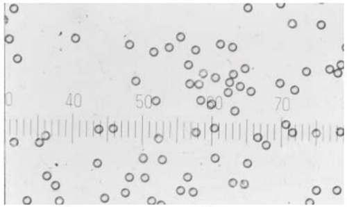 image.png 賽默飛世爾Thermo Fisher微粒微球 產品介紹