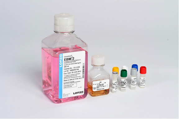 LONZA原代人冠狀動脈內(nèi)皮細(xì)胞HCAEC和培養(yǎng)基 產(chǎn)品介紹