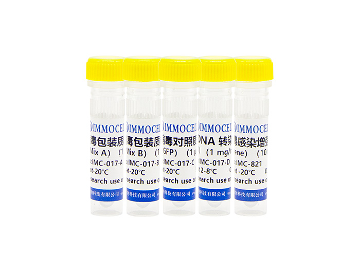 1712561079783516.jpg IMMOCELL厦门逸漠生物代理商 2026授权代理-上海起发