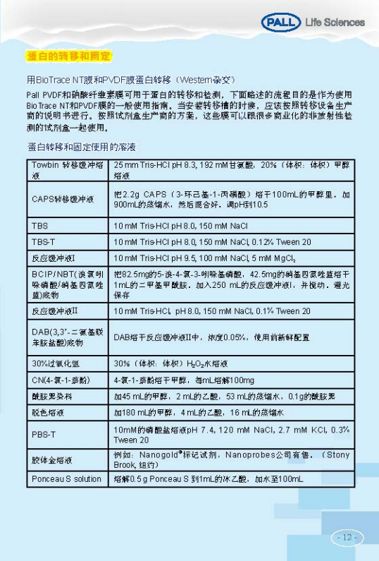 PALL PVDF转印膜 NC转印膜