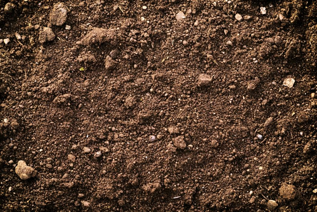 自然寫實(shí)深棕色松散土壤小石塊植物殘?jiān)虡I(yè)照片（商業(yè)使用）