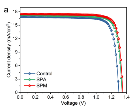 磺酸分子桥偶极工程实现0.420 V低损失与28.9%效率