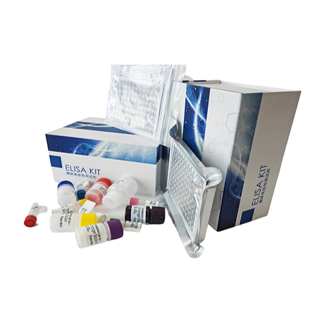 上海研域生物小鼠ELISA试剂盒“闹元宵，赏灯惠