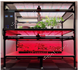 智能 LED 光源培養(yǎng)與表型分析平臺