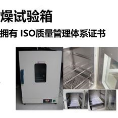 立式鼓風(fēng)干燥箱
