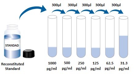 Human IL-8/CXCL8 ELISA Kit
